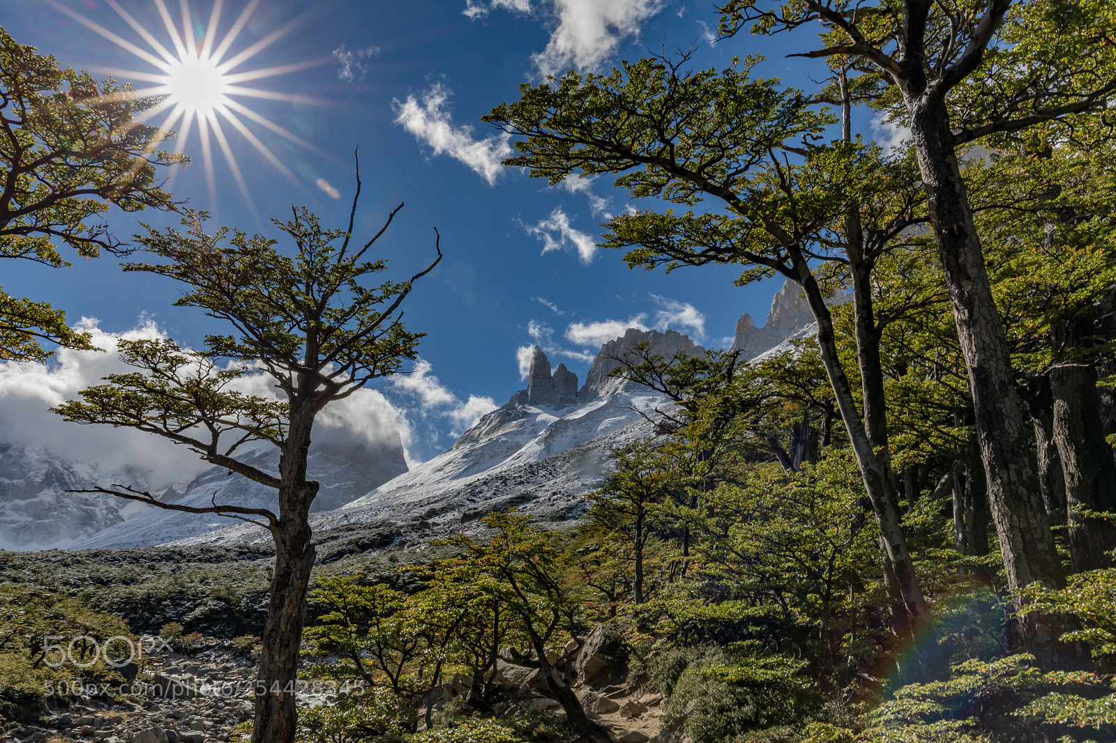 Canon EOS 5D Mark IV sample photo. Los cuernos photography