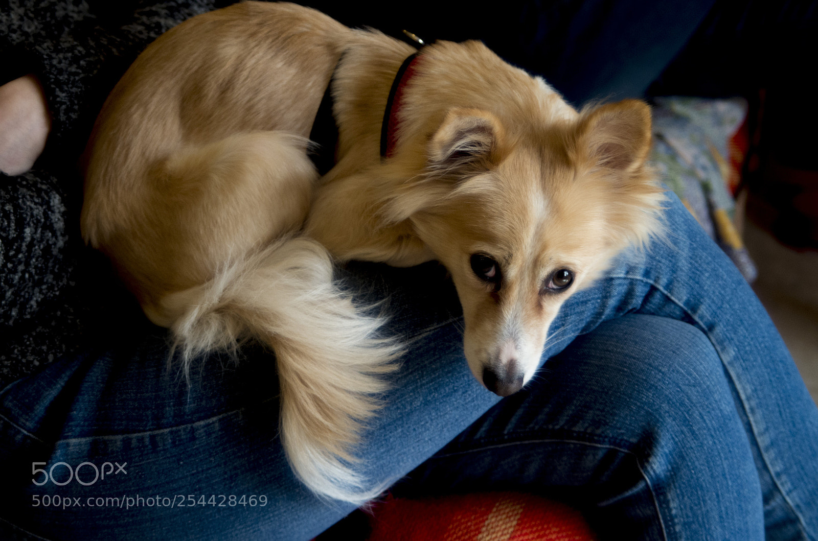 Pentax K-30 sample photo. Bonney photography