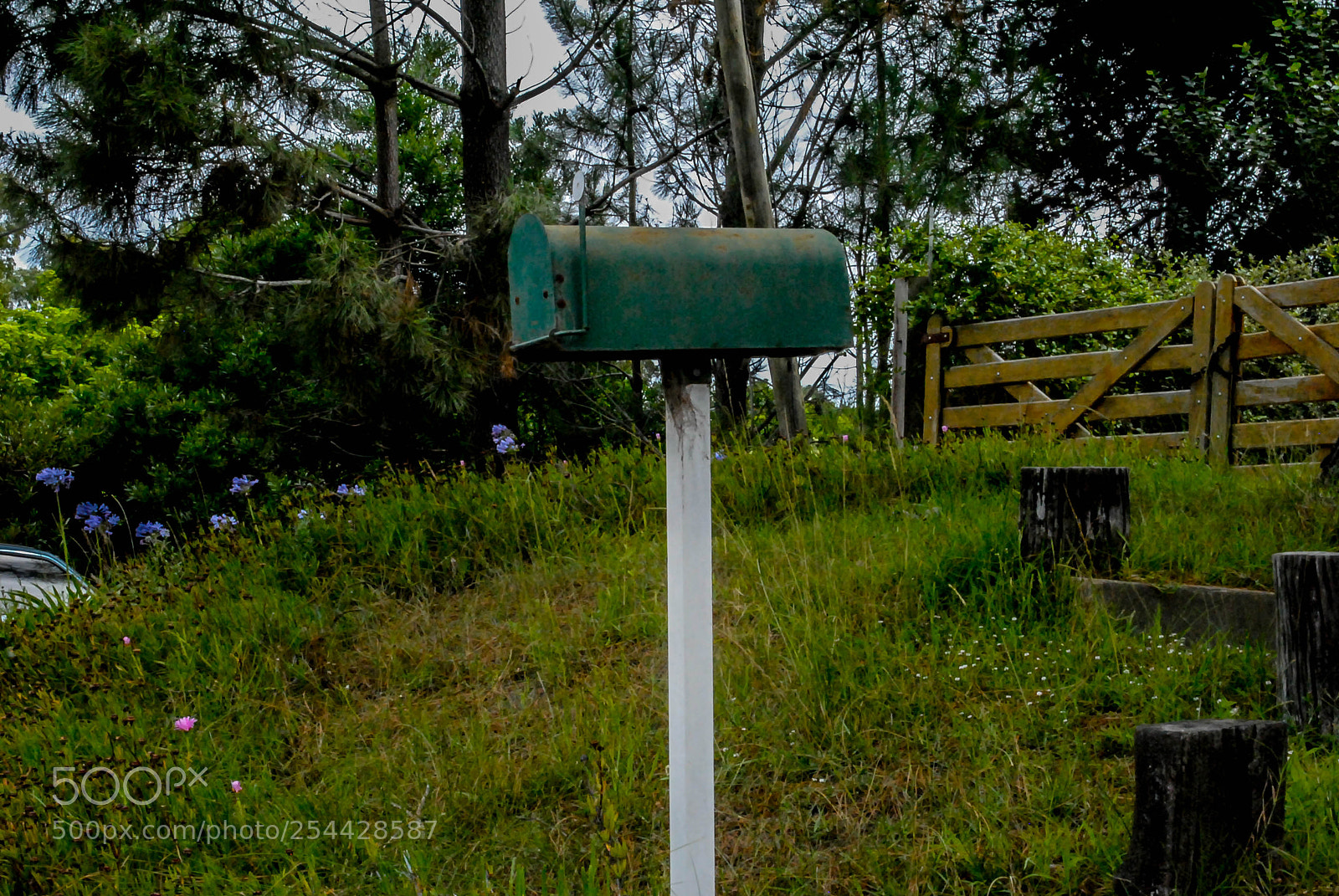 Nikon D3000 sample photo. Naturaleza photography