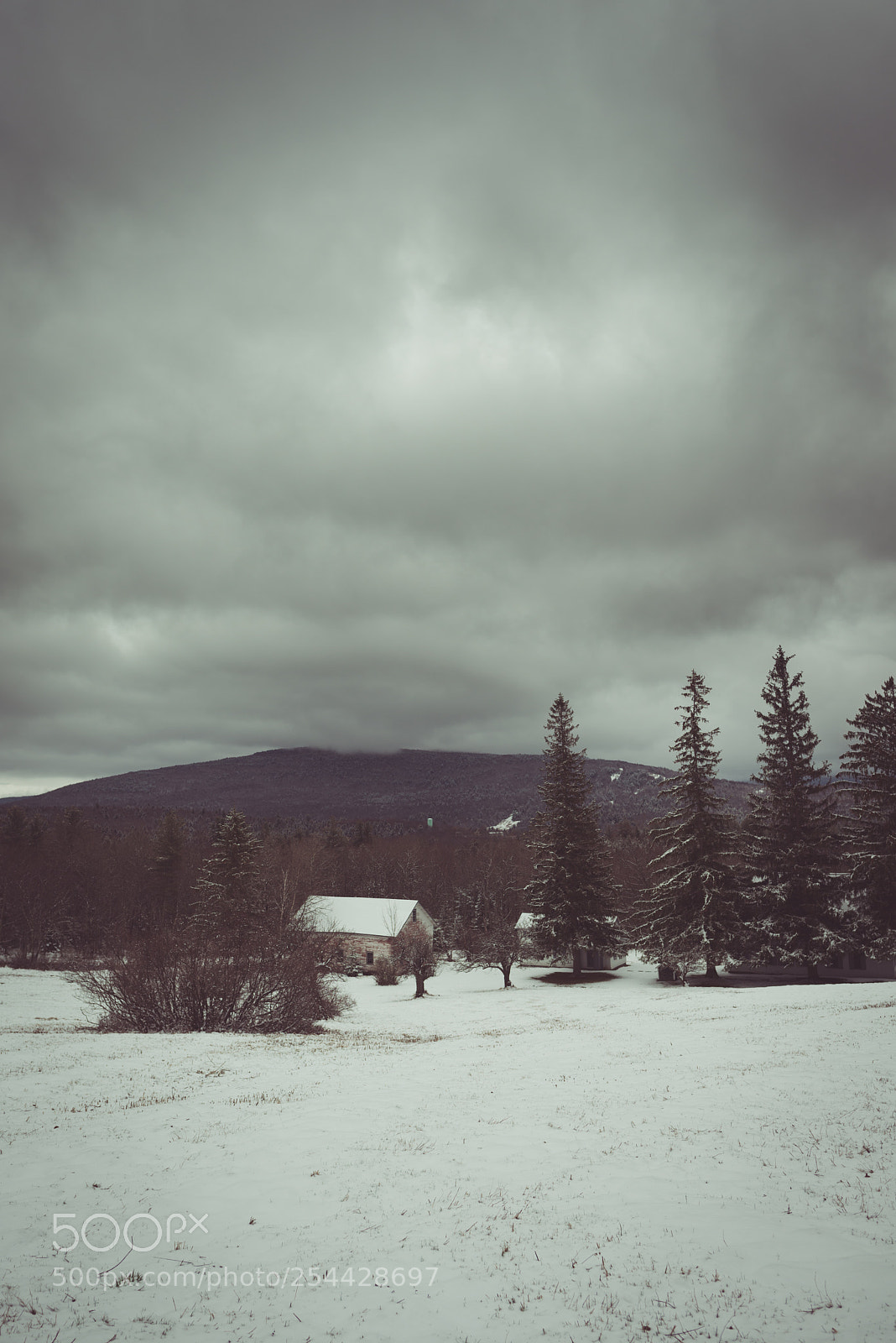 Nikon D800 sample photo. Catskill mountain state park photography