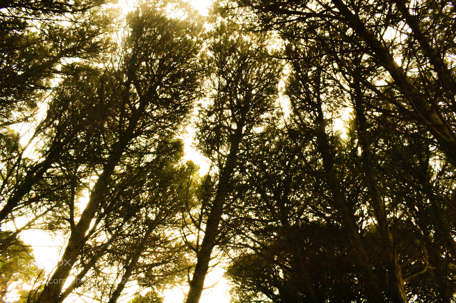 Nikon D3400 sample photo. Naturaleza photography