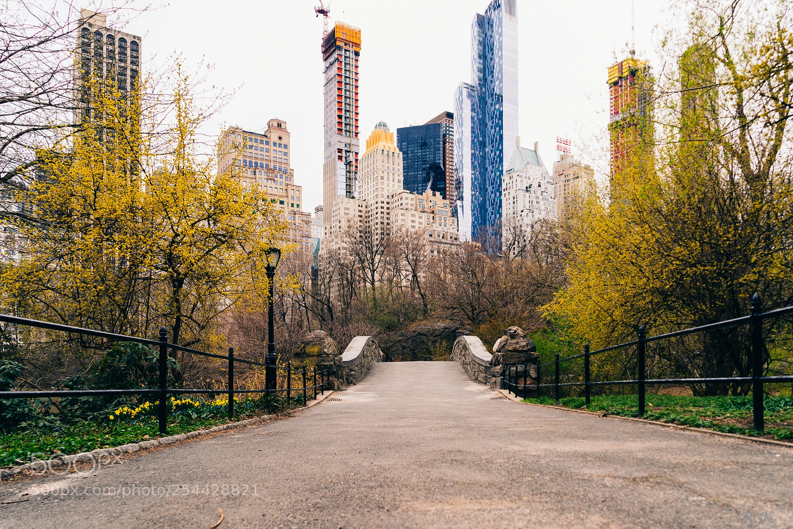 Sony a7R sample photo. Limits are imaginary photography