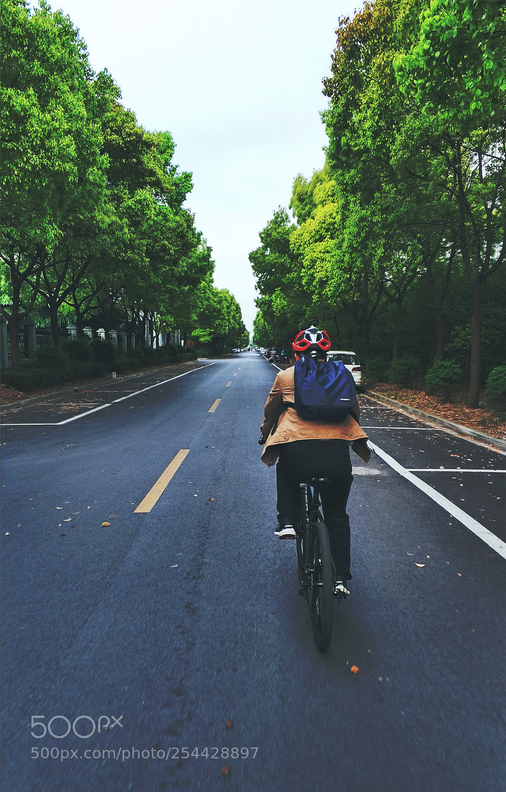 Xiaomi MI6 sample photo. Cycling photography