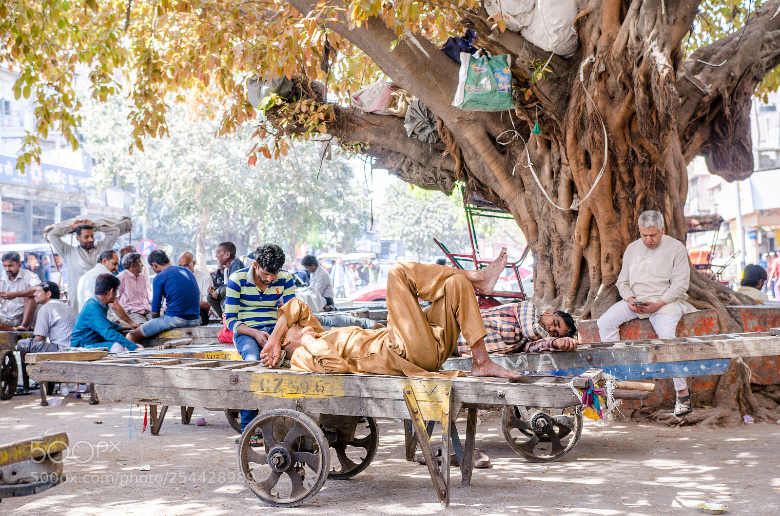Nikon D7000 sample photo. Resting in the shadow photography