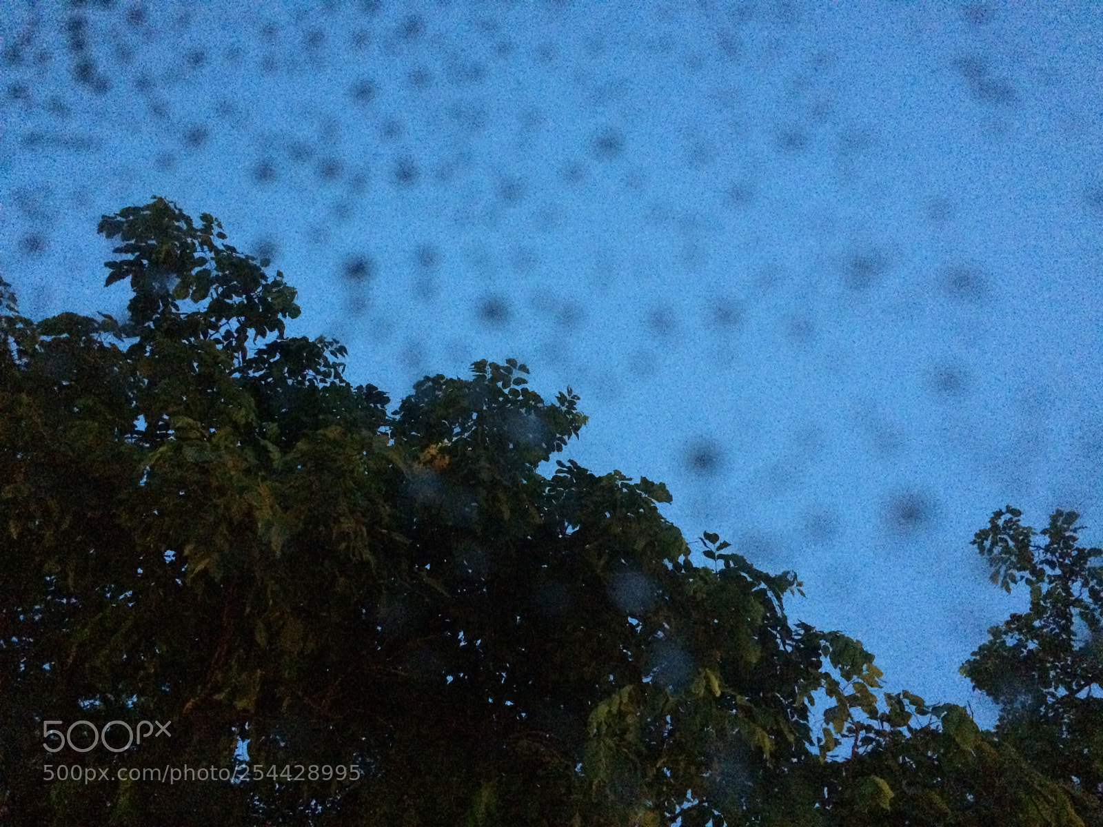 Apple iPhone 5s sample photo. Some things look awesome photography