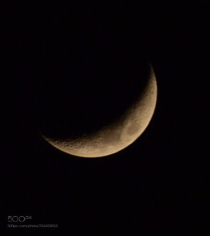 Nikon D5300 sample photo. Crescent moon photography
