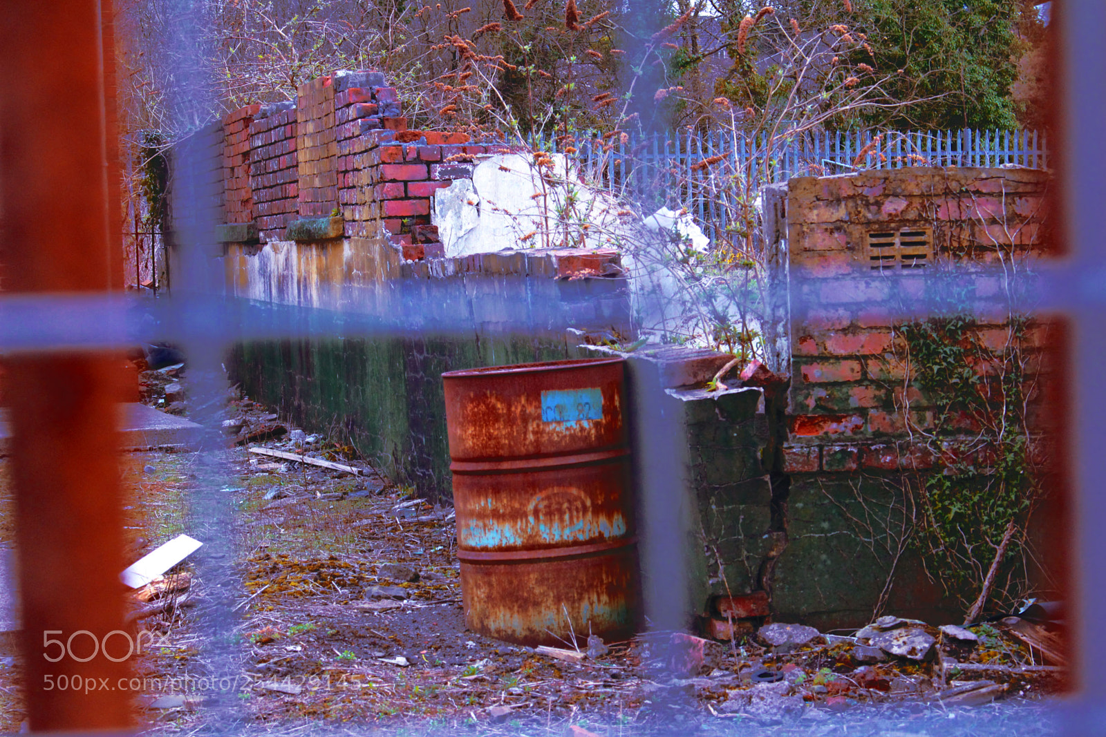 Canon EOS 700D (EOS Rebel T5i / EOS Kiss X7i) sample photo. Barrell photography