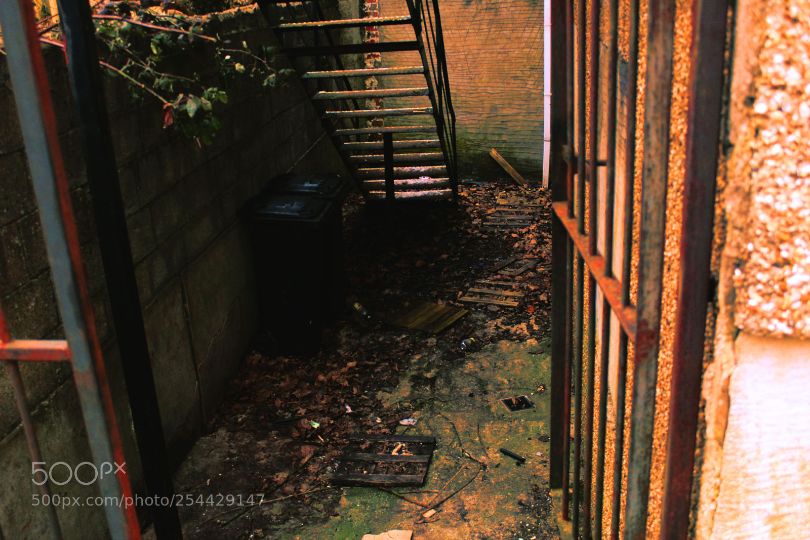 Canon EOS 550D (EOS Rebel T2i / EOS Kiss X4) sample photo. Alley photography