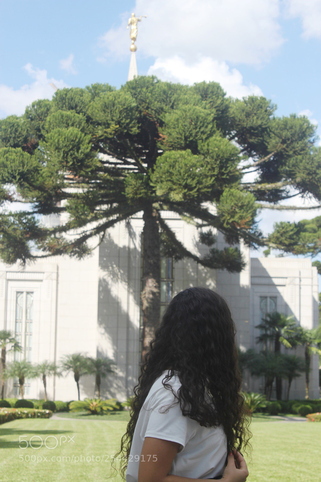 Canon EOS 500D (EOS Rebel T1i / EOS Kiss X3) sample photo. Eternal life photography