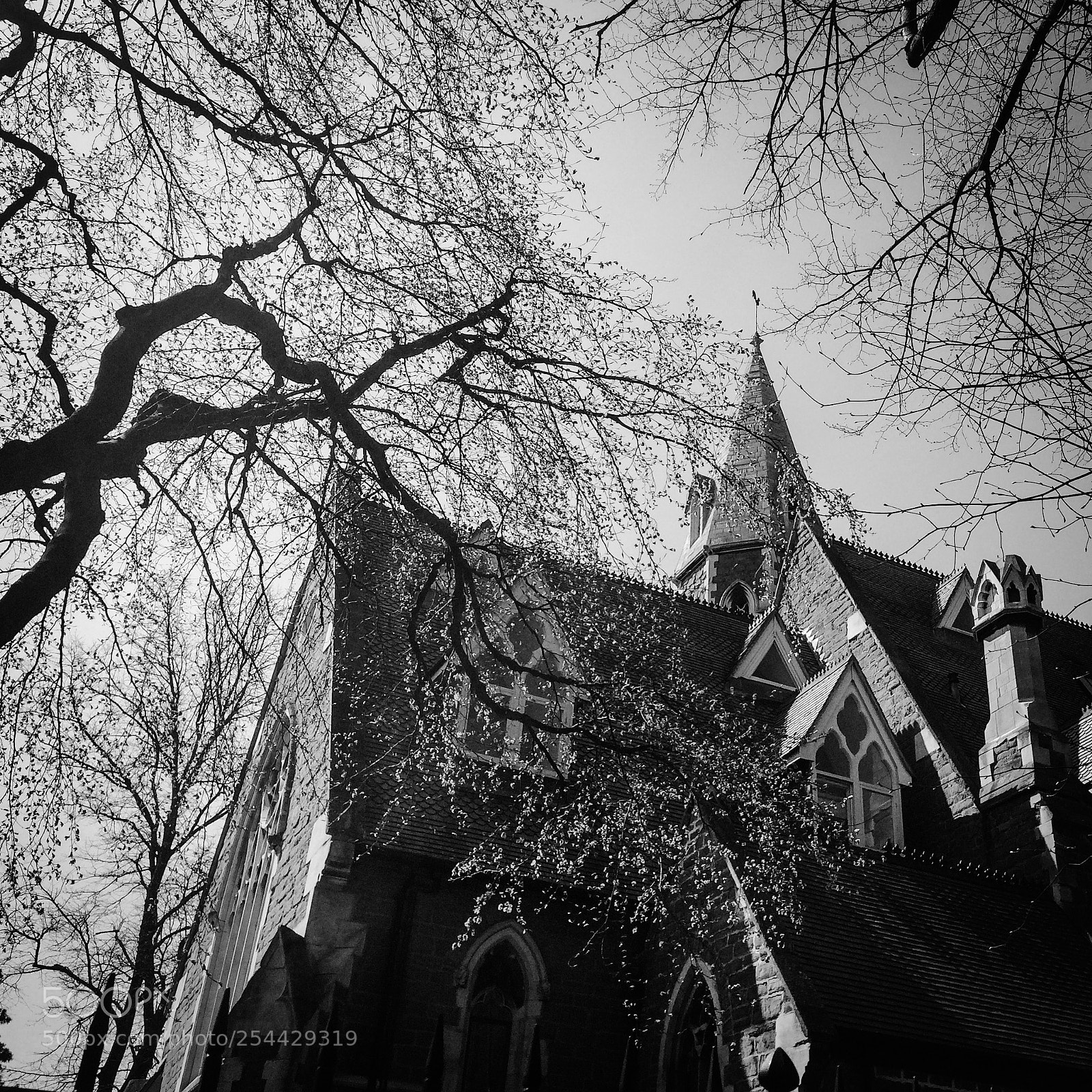 Apple iPhone 5s sample photo. St james edgbaston photography