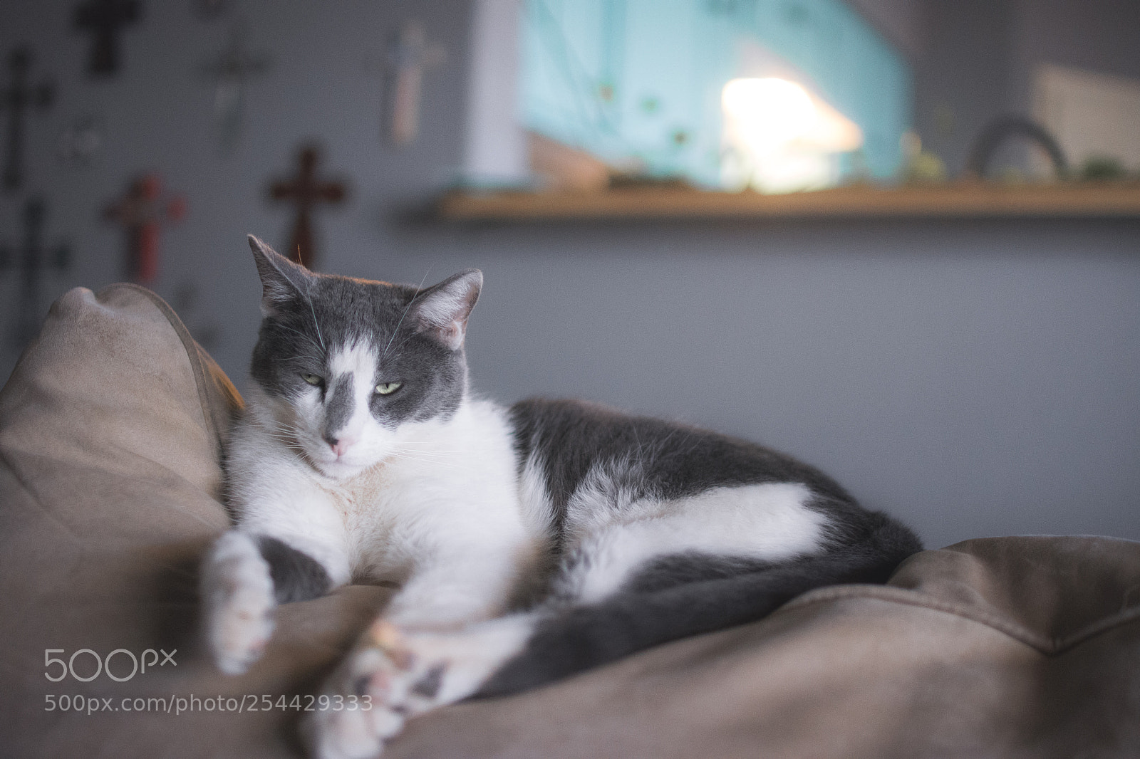 Nikon D7200 sample photo. Lazy photography
