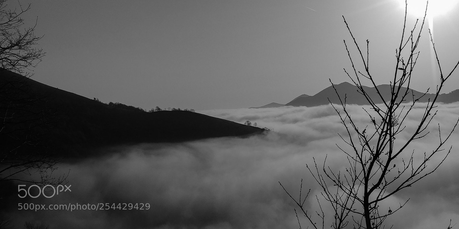 LG G6 sample photo. Sea of clouds photography