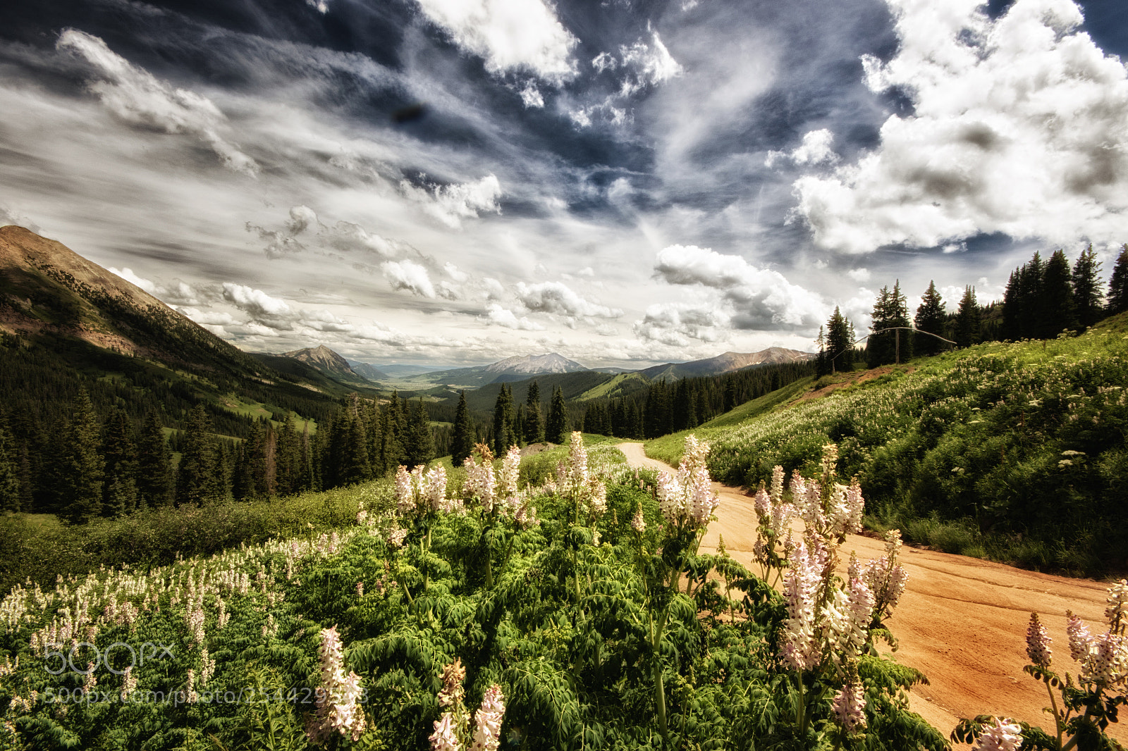 Canon EOS 7D Mark II sample photo. Washington gulch road photography