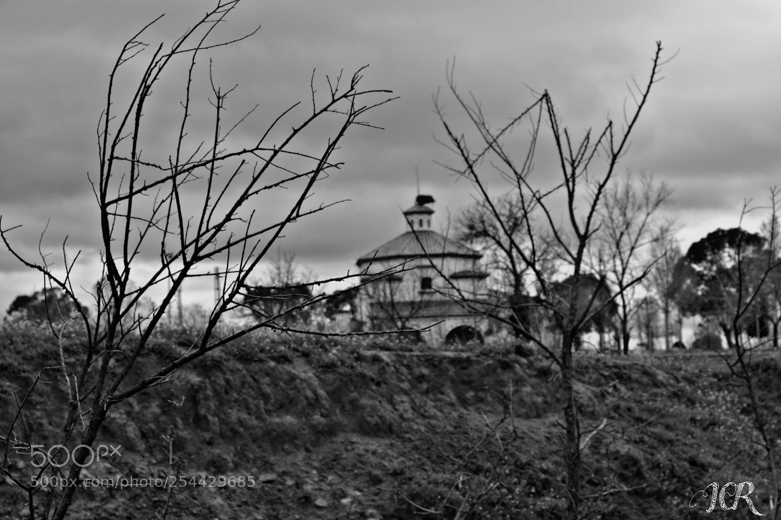 Nikon D5200 sample photo. Hermita photography
