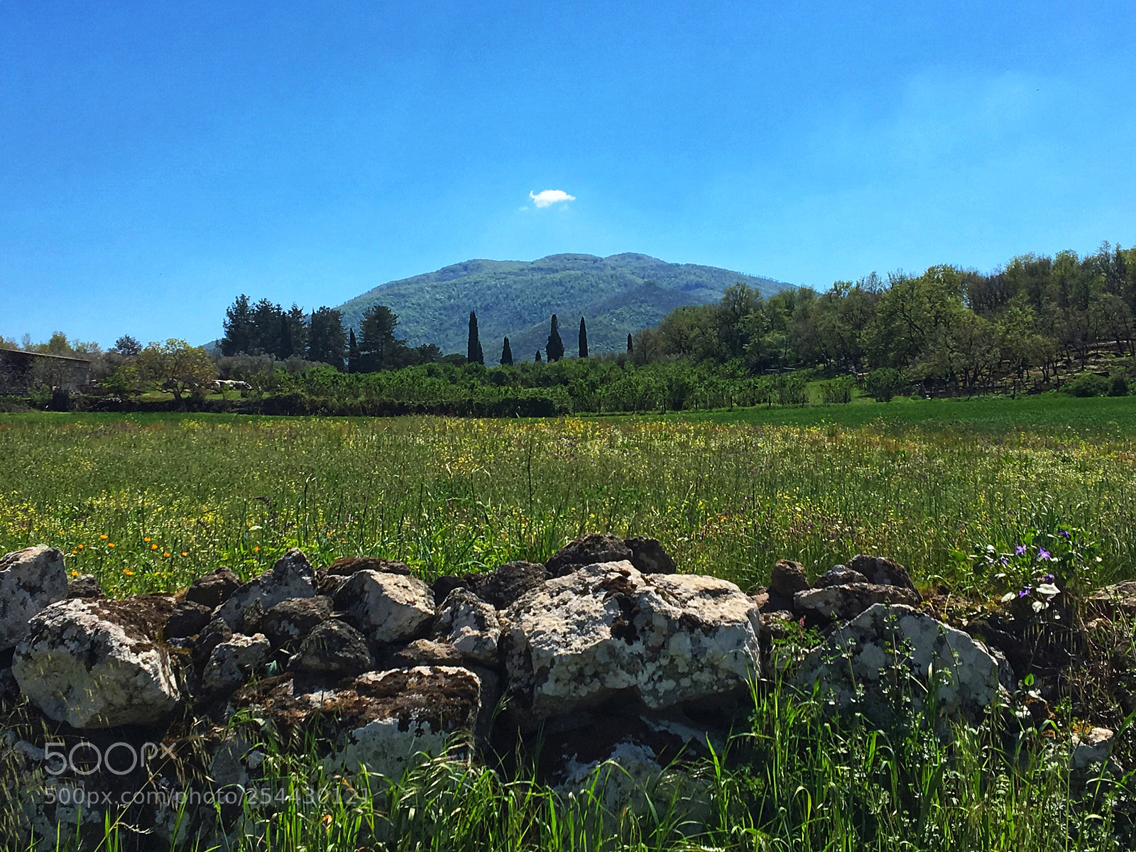 Apple iPhone 6s sample photo. La mia contea photography