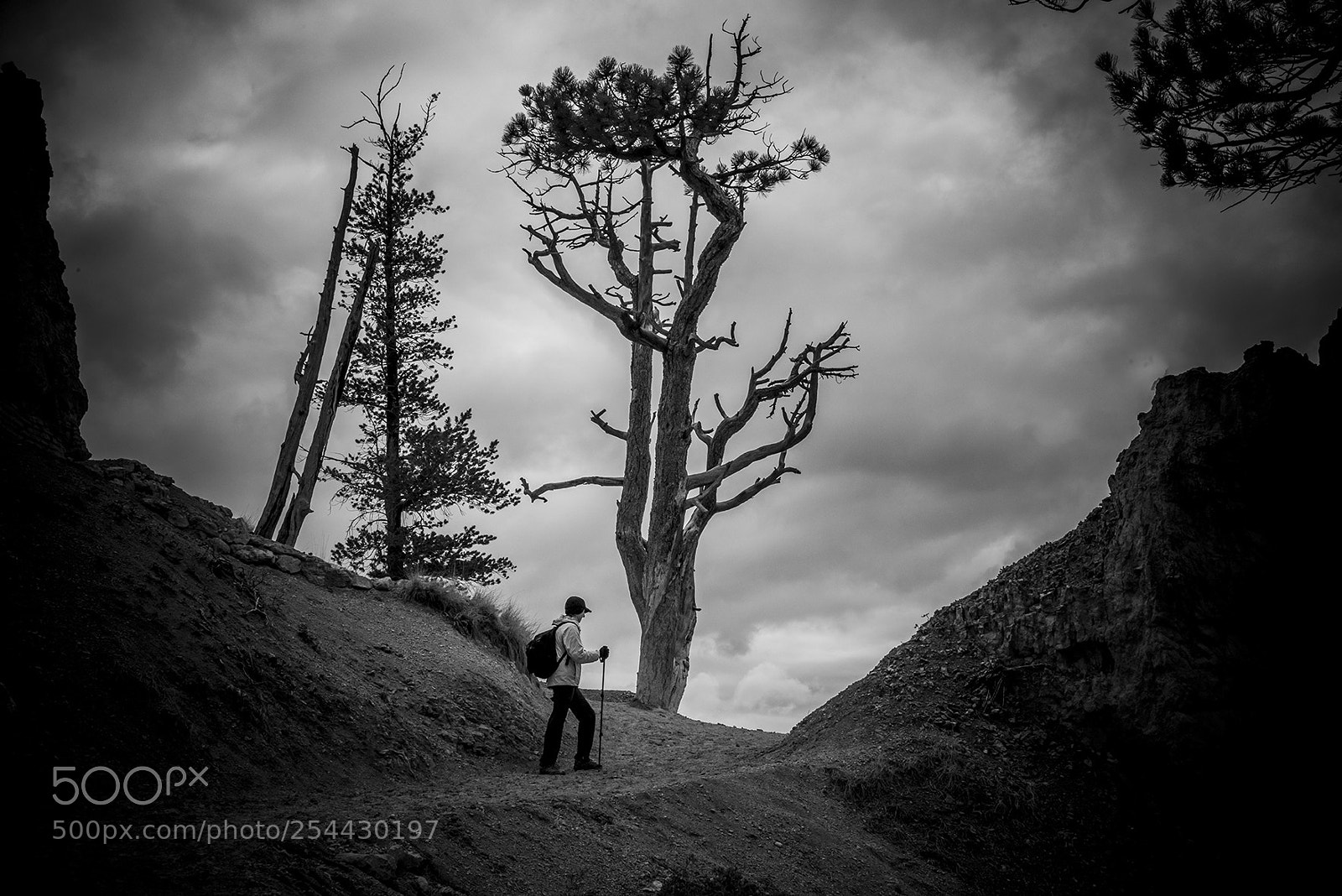 Nikon D800 sample photo. The hiker photography