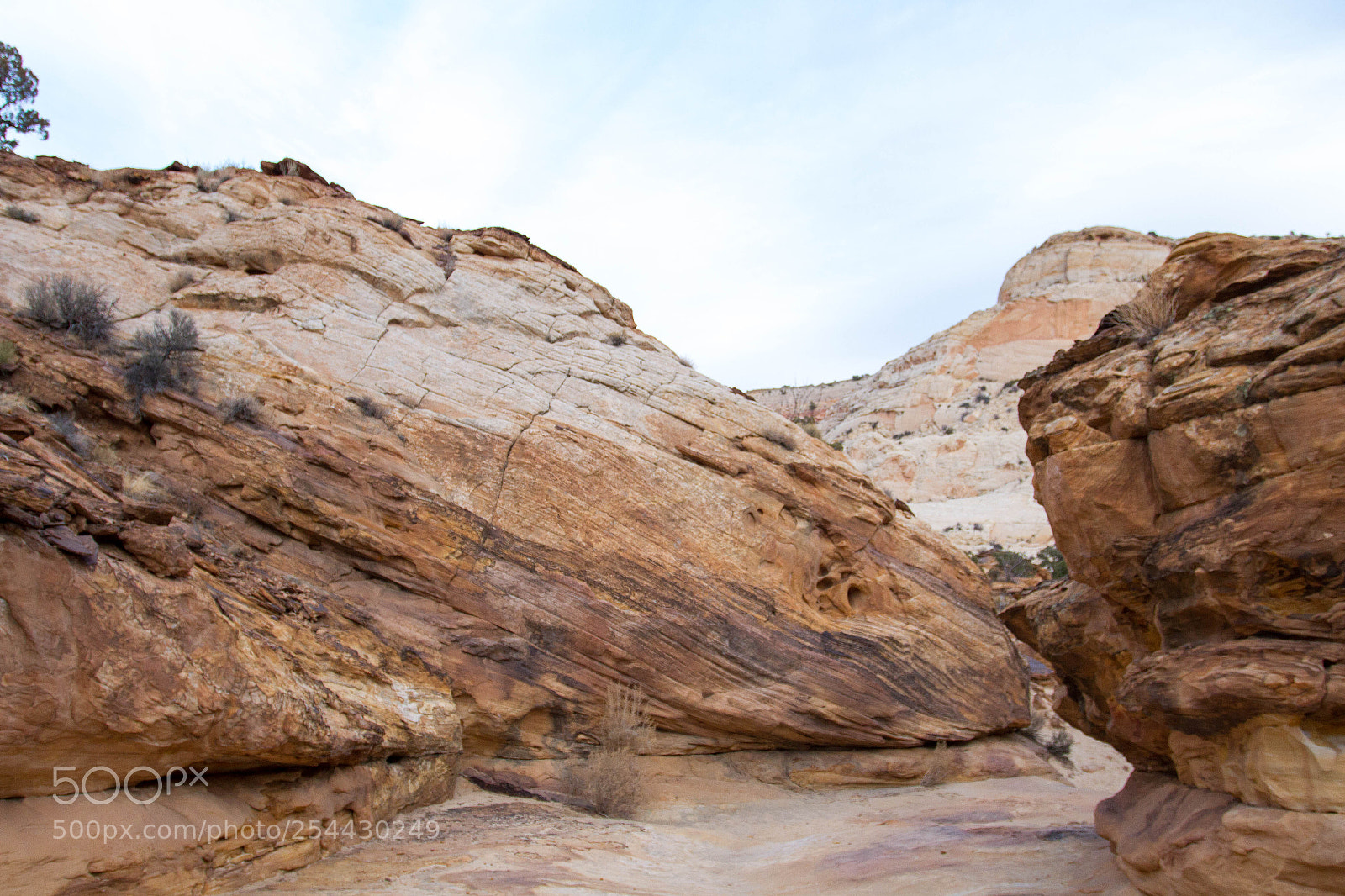 Canon EOS 7D sample photo. Capital reef national park photography