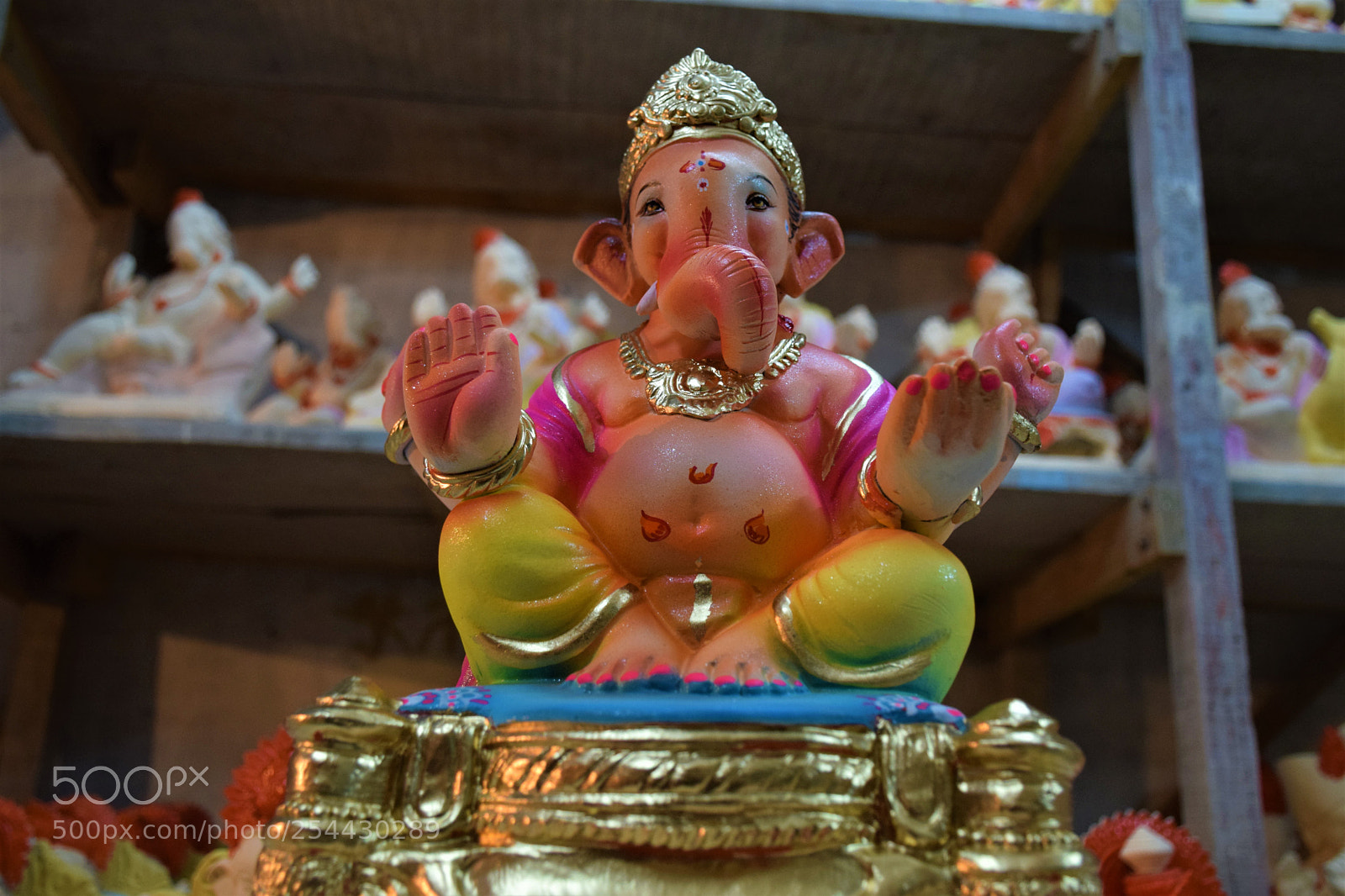 Nikon D5300 sample photo. King at the workshop !! photography