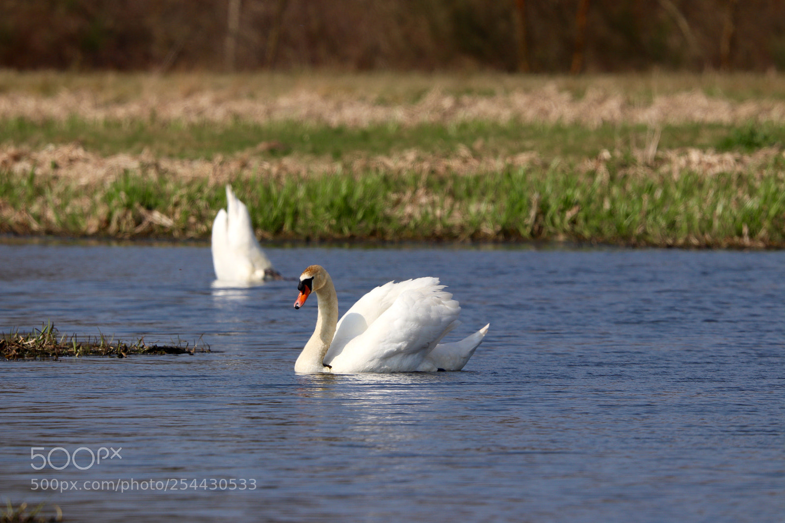 Canon EOS 77D (EOS 9000D / EOS 770D) sample photo. Bottoms up photography