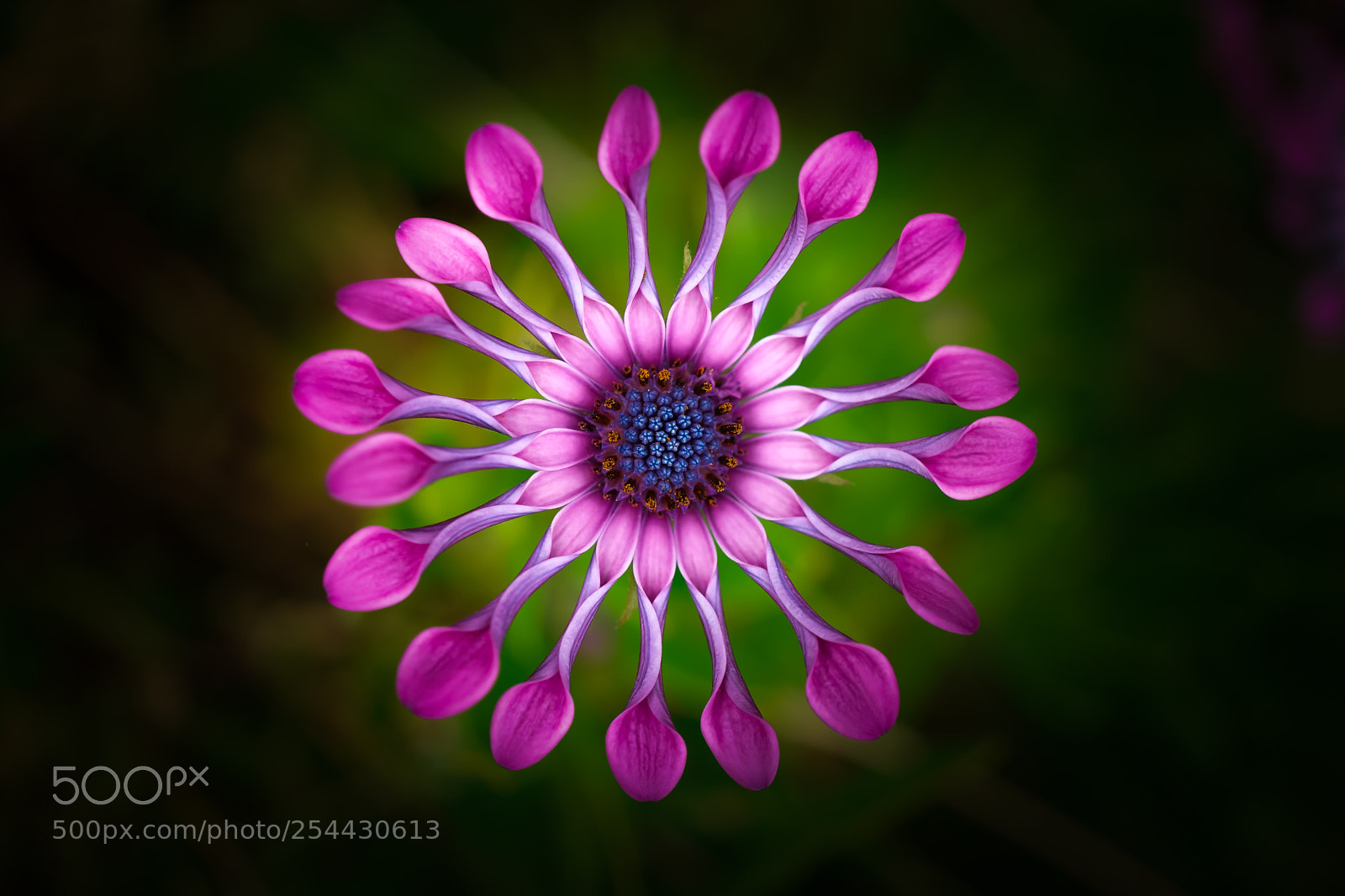 Sony a6000 sample photo. Three d beauty photography