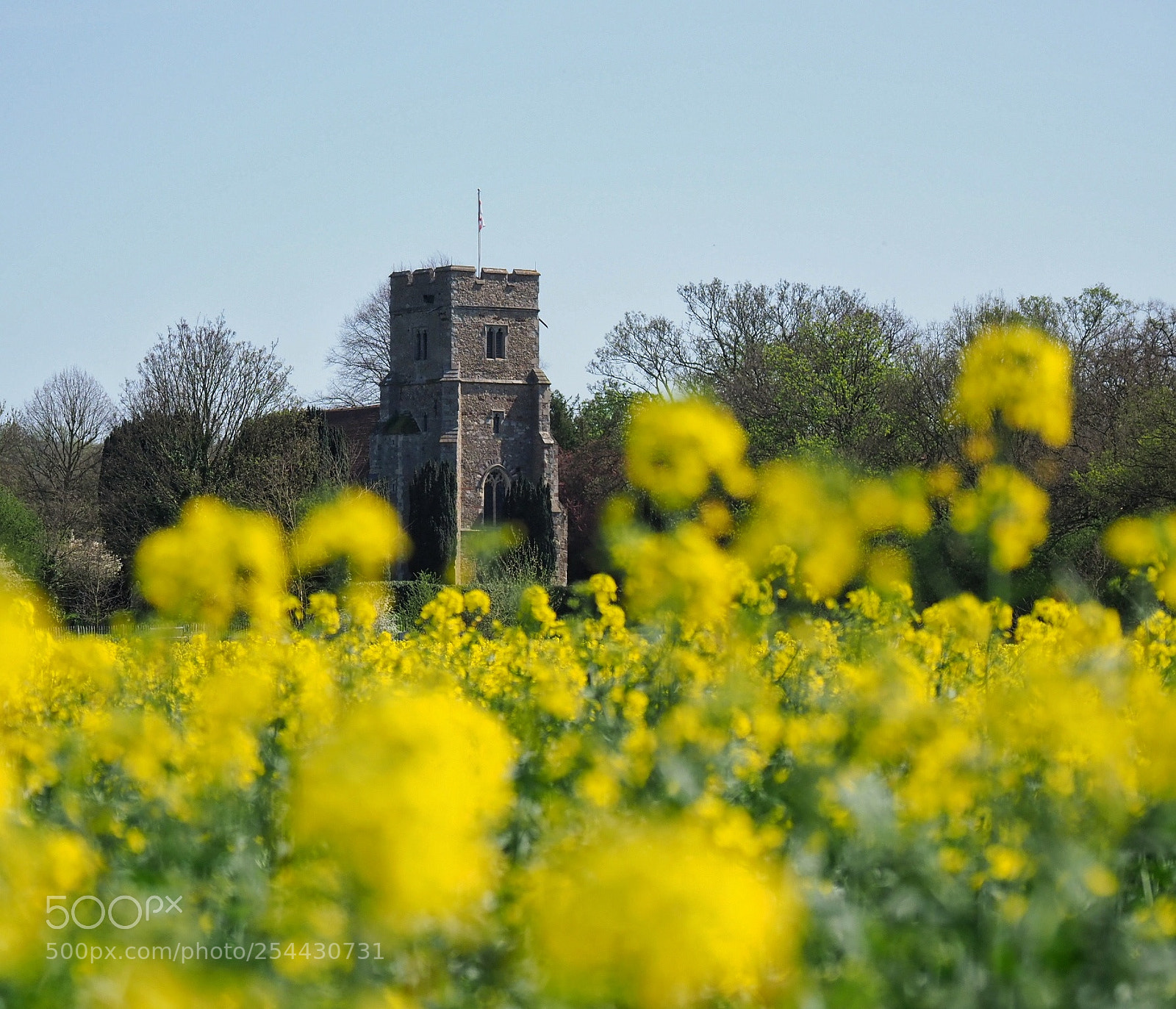 Olympus OM-D E-M1 Mark II sample photo. Little baddow photography