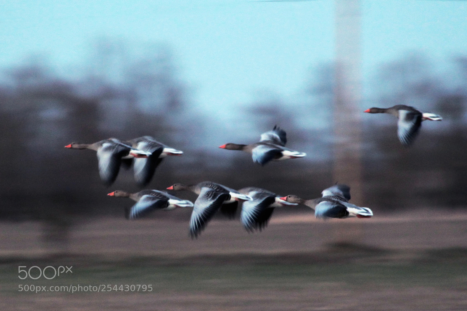 Canon EOS-1D Mark IV sample photo. Untitled photography