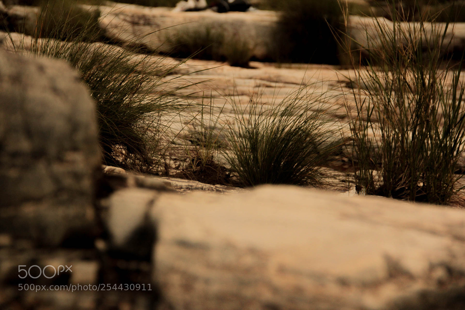 Canon EOS 60D sample photo. Mg photography