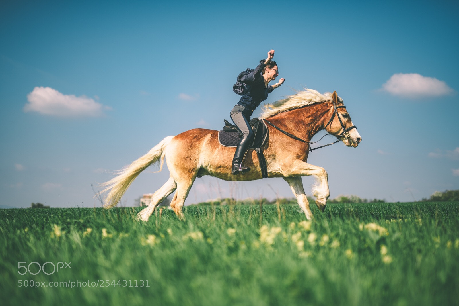 Nikon D810 sample photo. Lisi im galopp photography