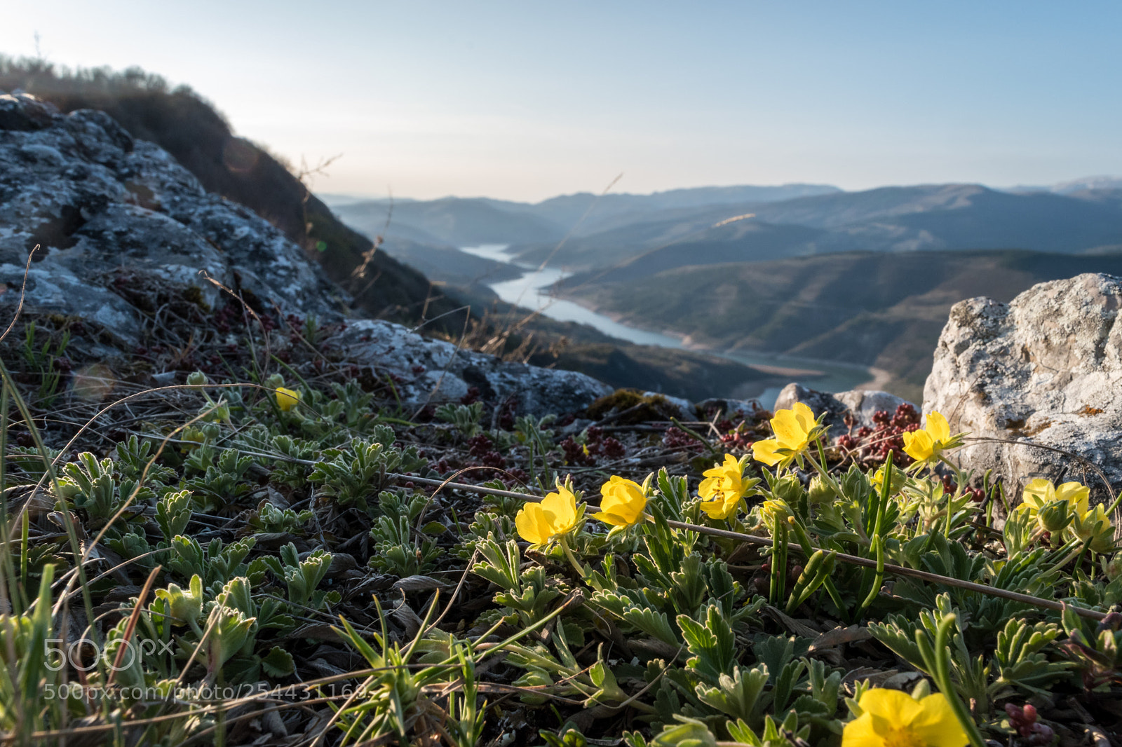 Nikon D5500 sample photo. On top of goat photography