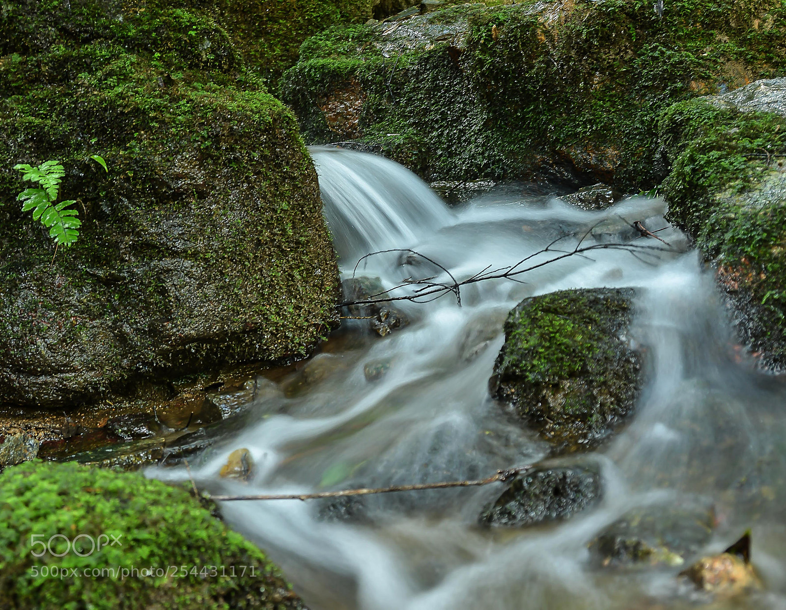 Nikon D7100 sample photo. Everything flows photography