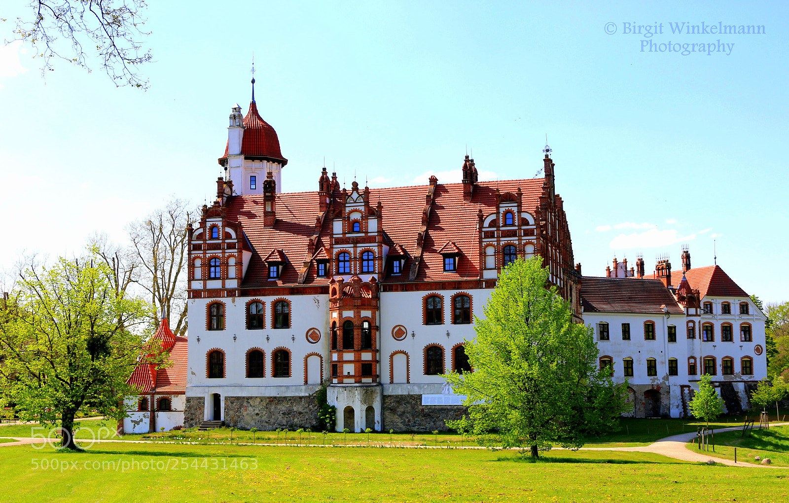 Canon EOS 70D sample photo. Castle basedow - germany photography