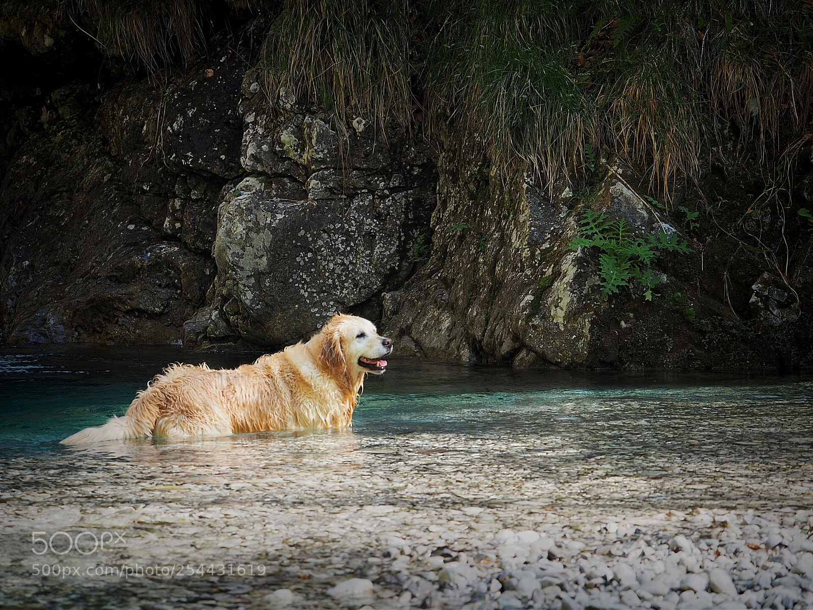 Olympus OM-D E-M5 II sample photo. Refreshing photography