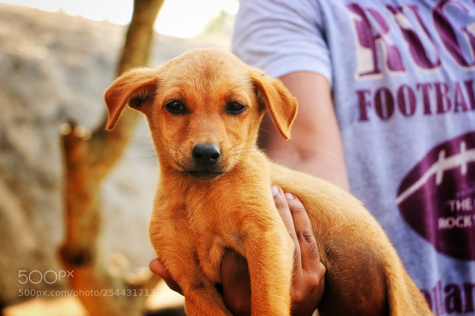 Canon EOS 70D sample photo. Untitled photography