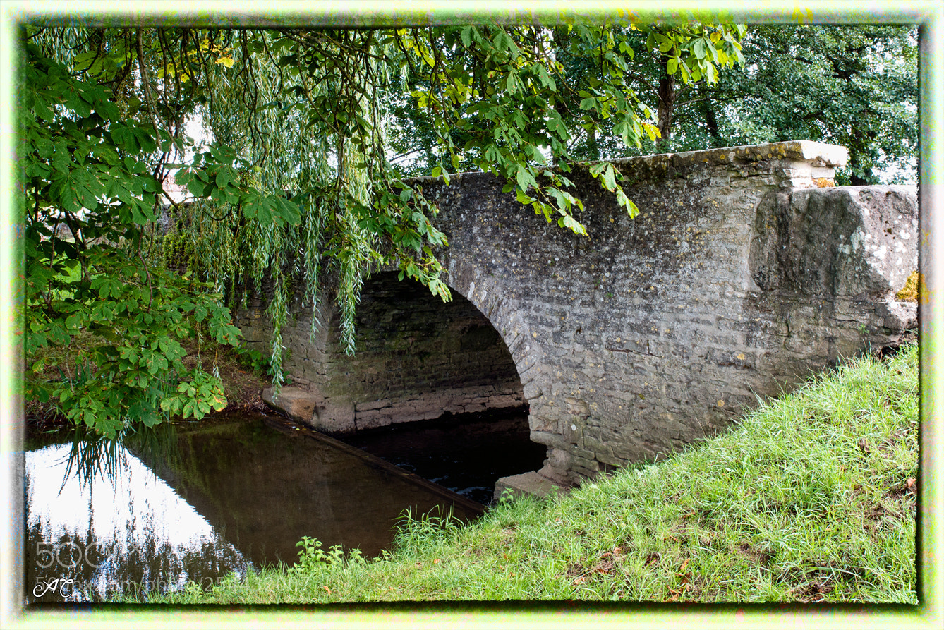 Nikon D800 sample photo. Vivid bridge photography