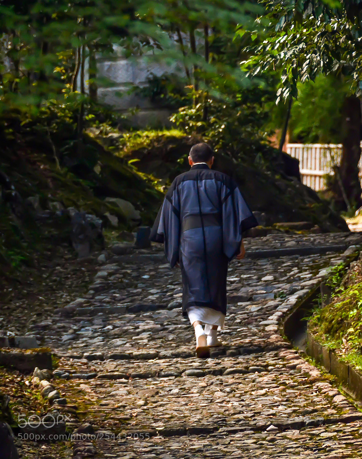 Nikon D7100 sample photo. The path of serenity photography