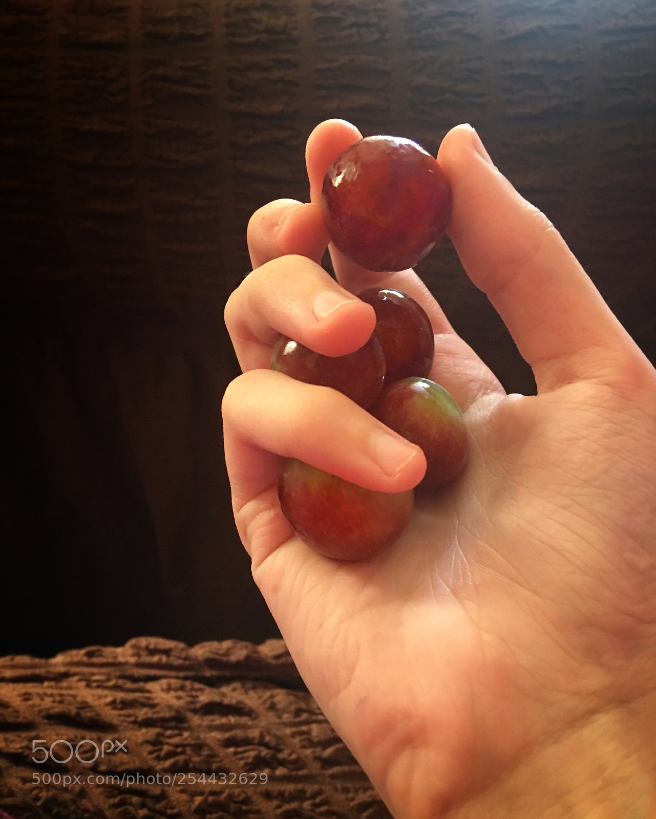 Apple iPhone 6s Plus sample photo. Untitled photography