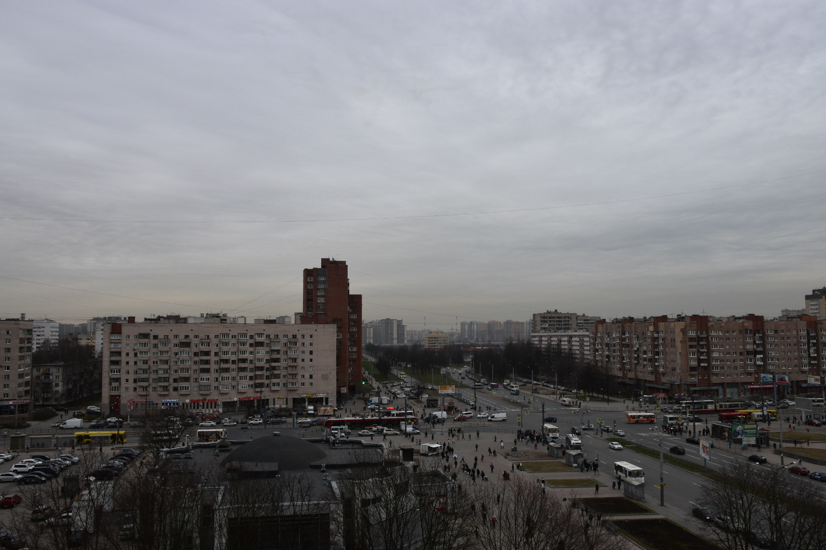 Nikon D5600 sample photo