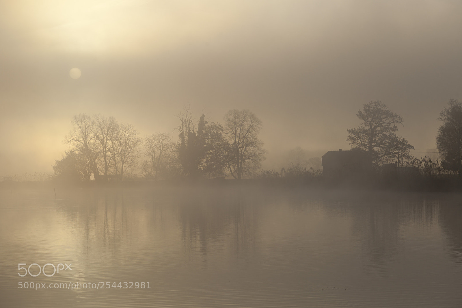 Canon EOS 5D Mark II sample photo. Misty dawn photography