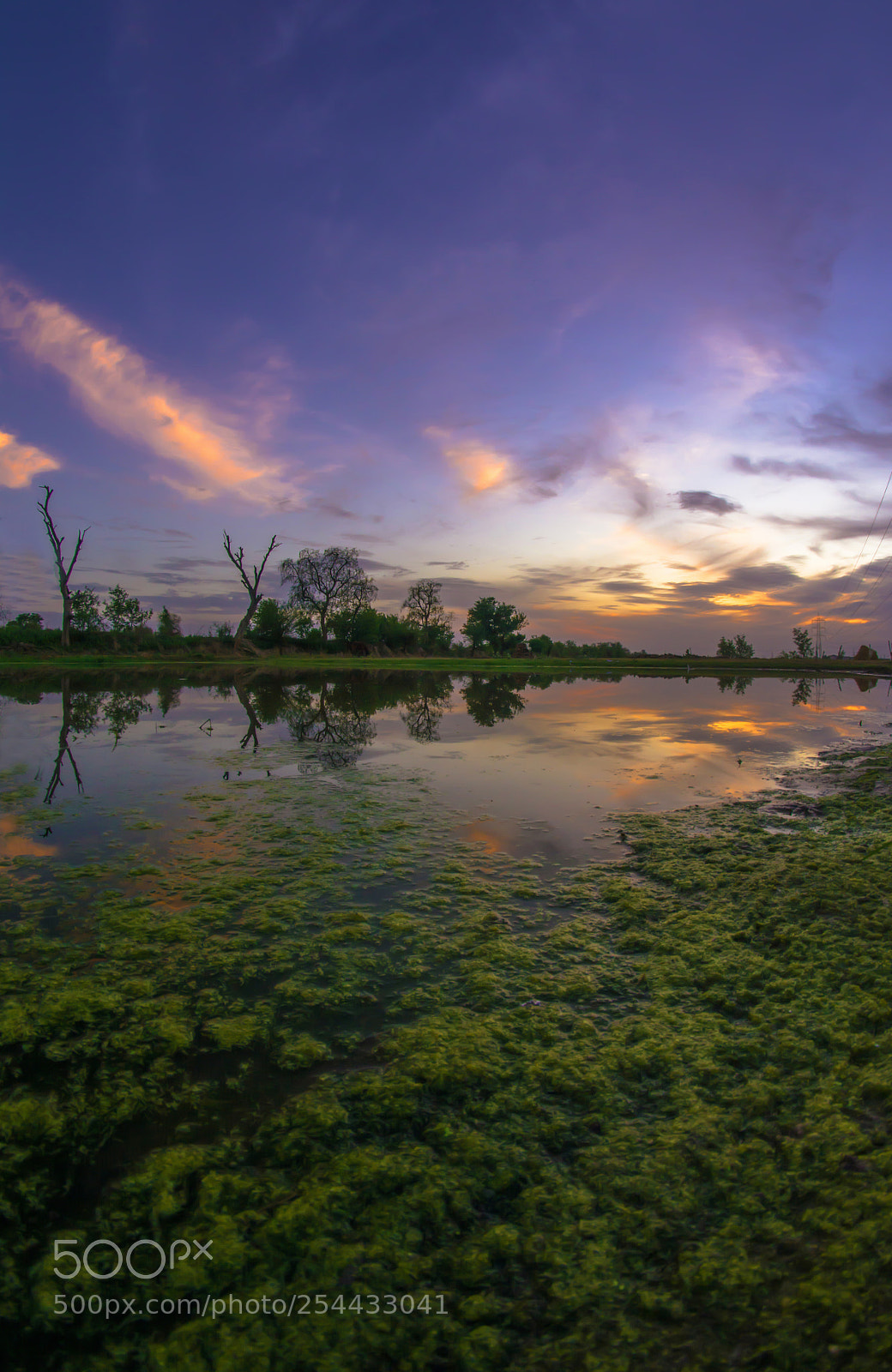 Nikon D7100 sample photo. Radiance photography