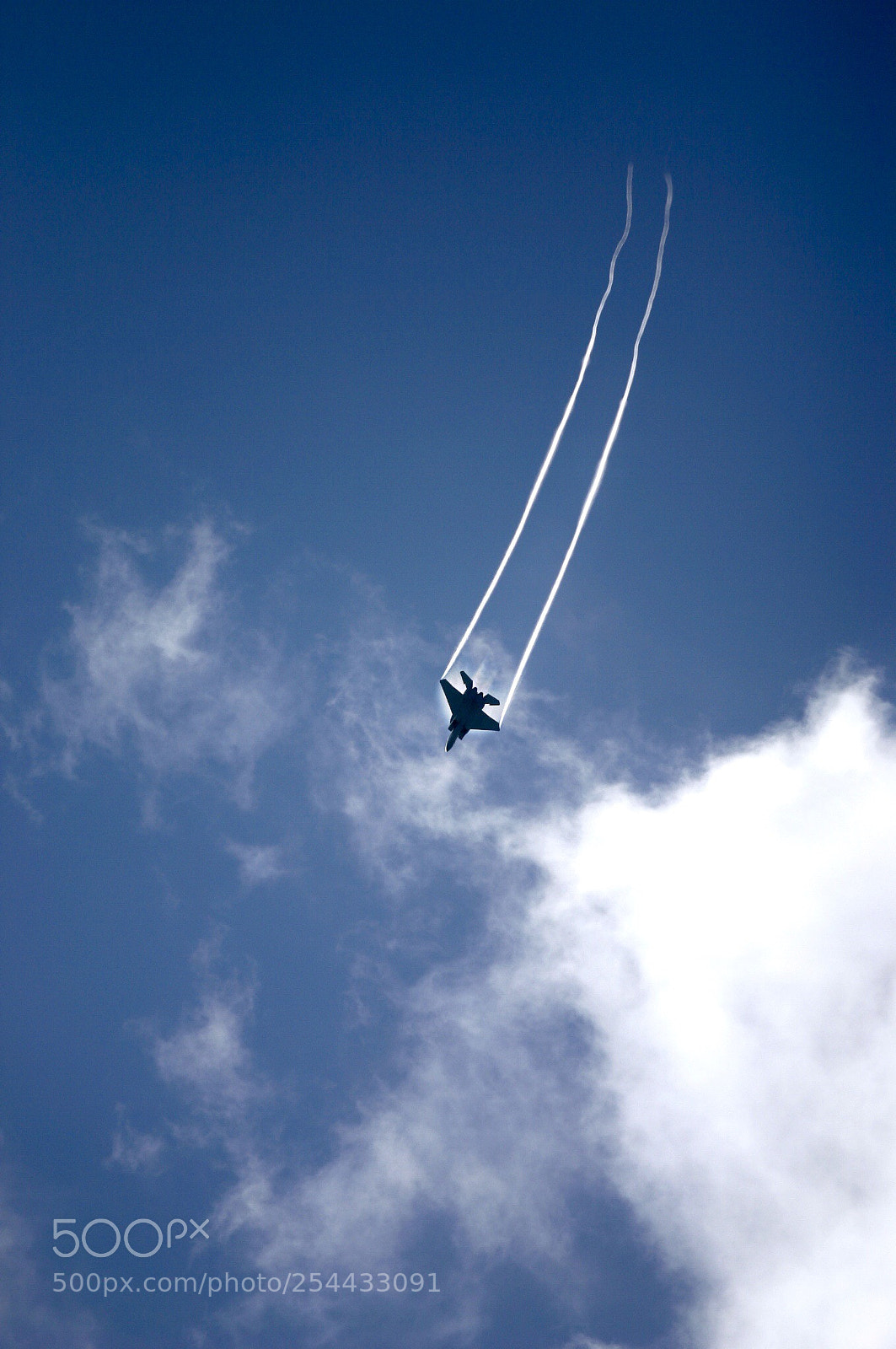 Canon EOS 300D (EOS Digital Rebel / EOS Kiss Digital) sample photo. Fly in the sky photography