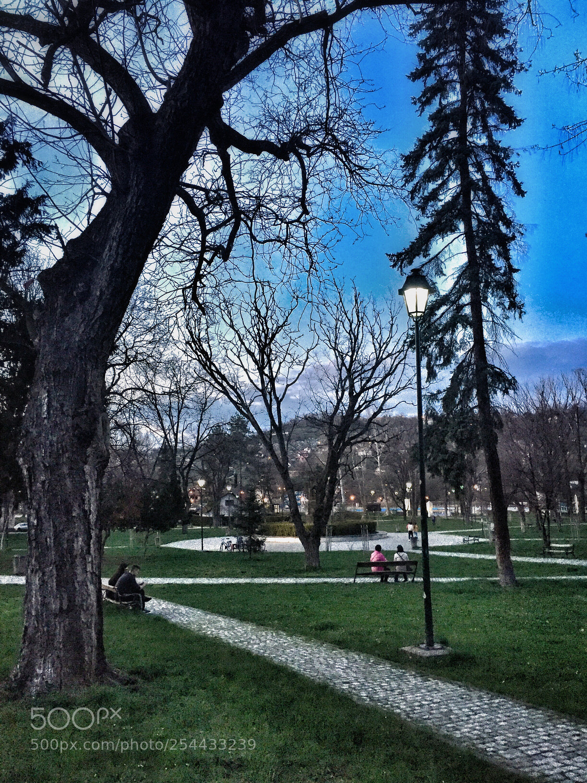 Apple iPhone 6 sample photo. Park photography