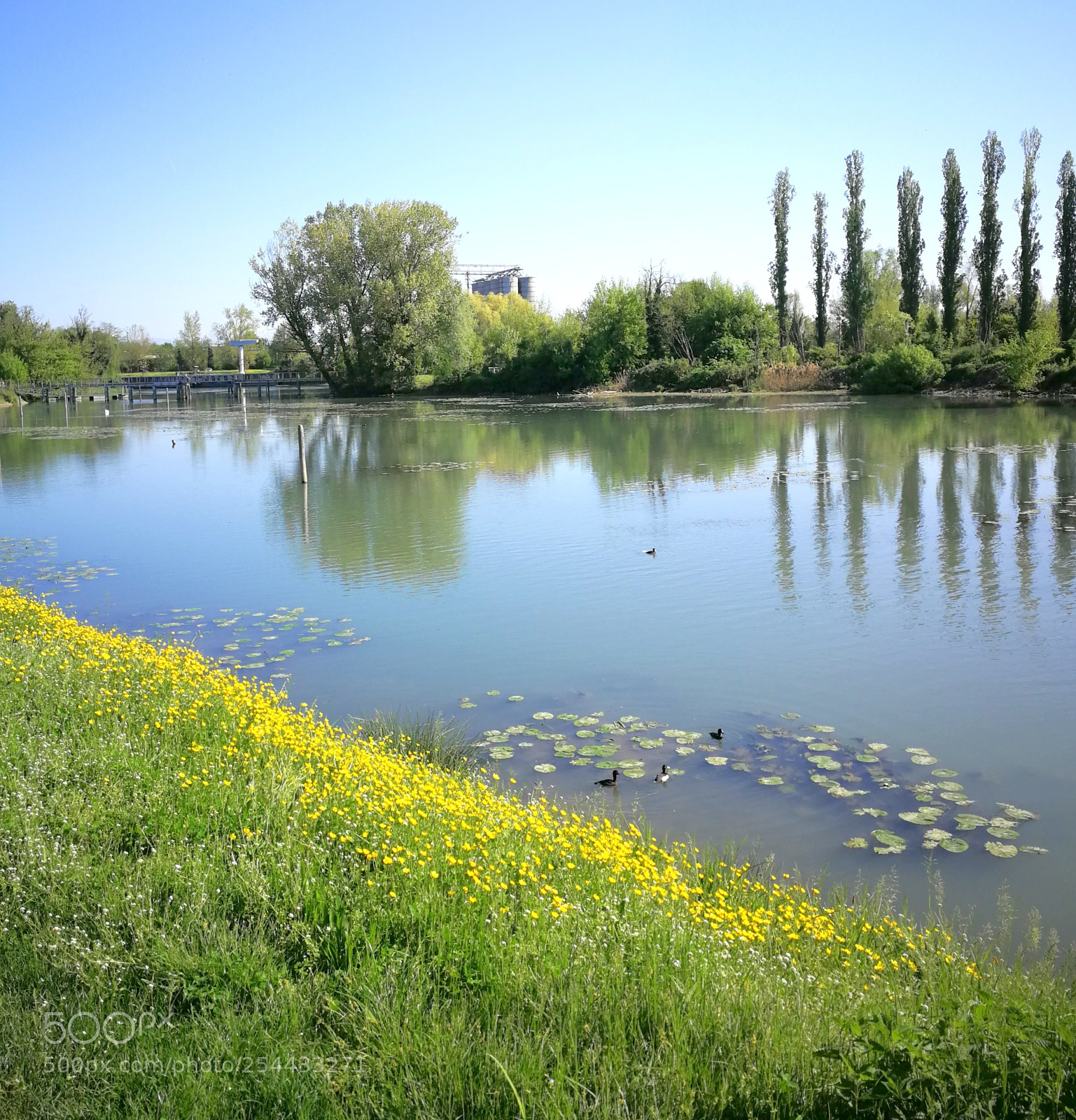 HUAWEI P10 sample photo. Rive sile monte casier photography