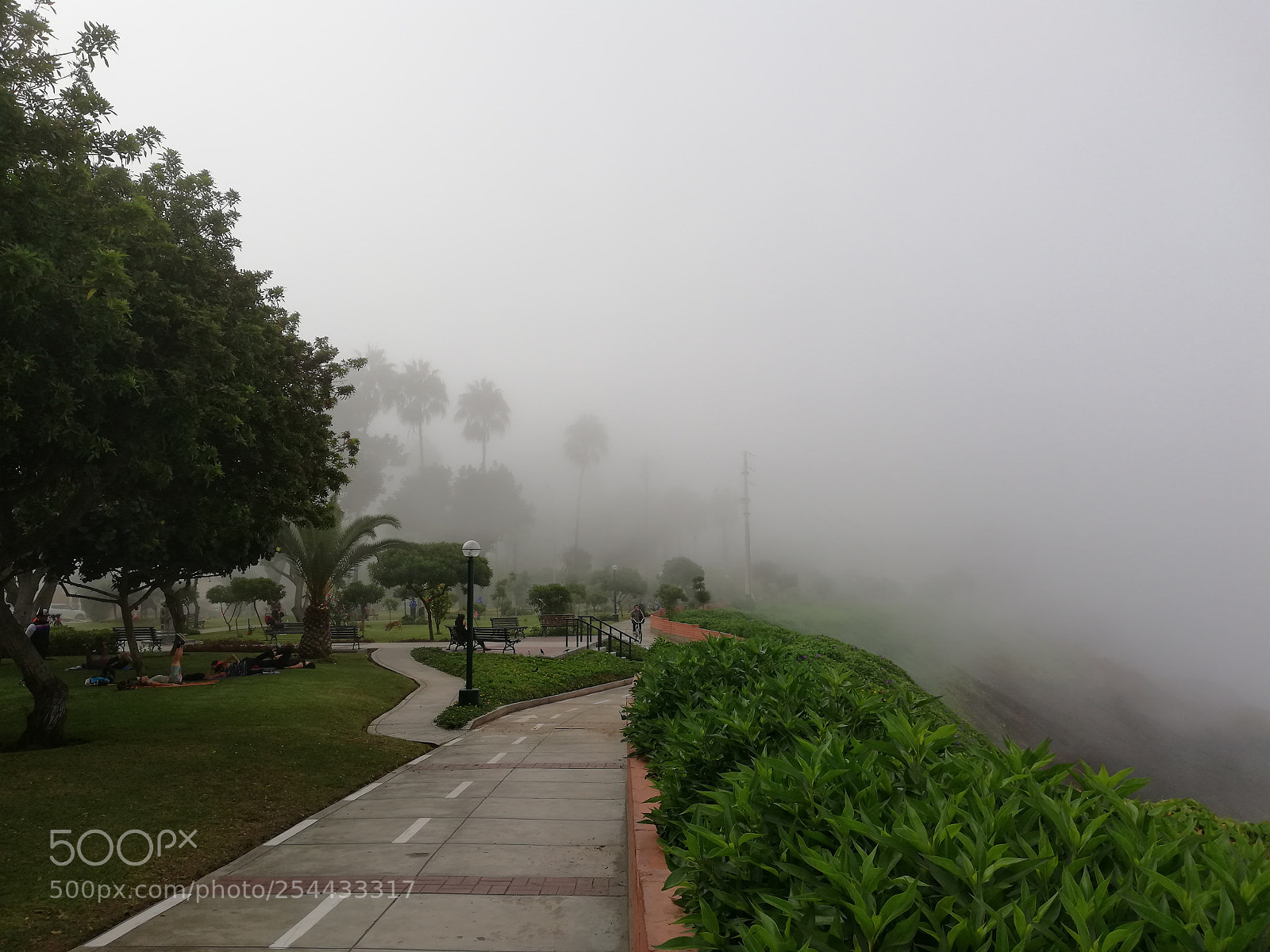 HUAWEI Mate 10 Lite sample photo. Untitled photography