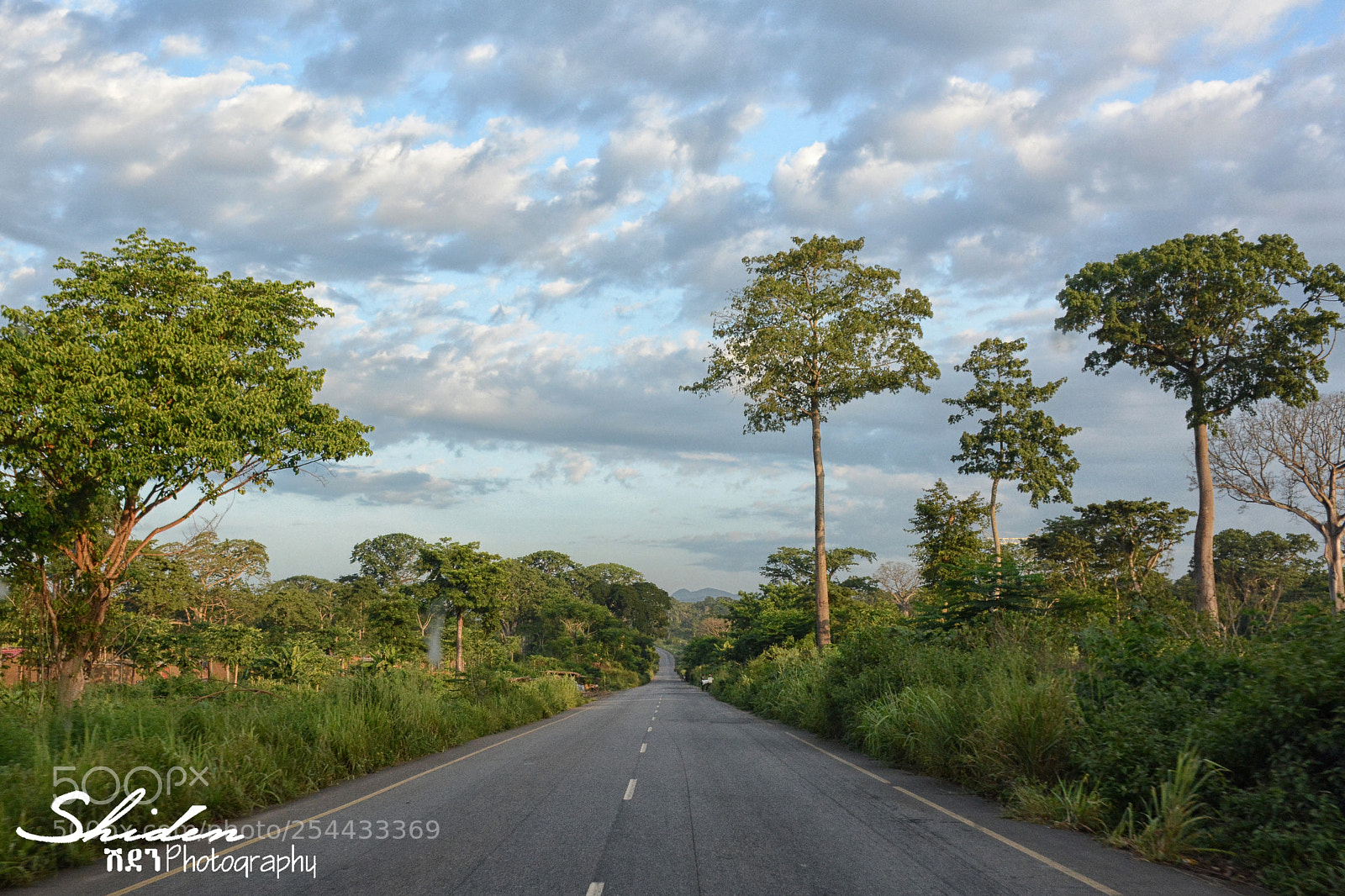 Nikon D7100 sample photo. 8.jpg photography