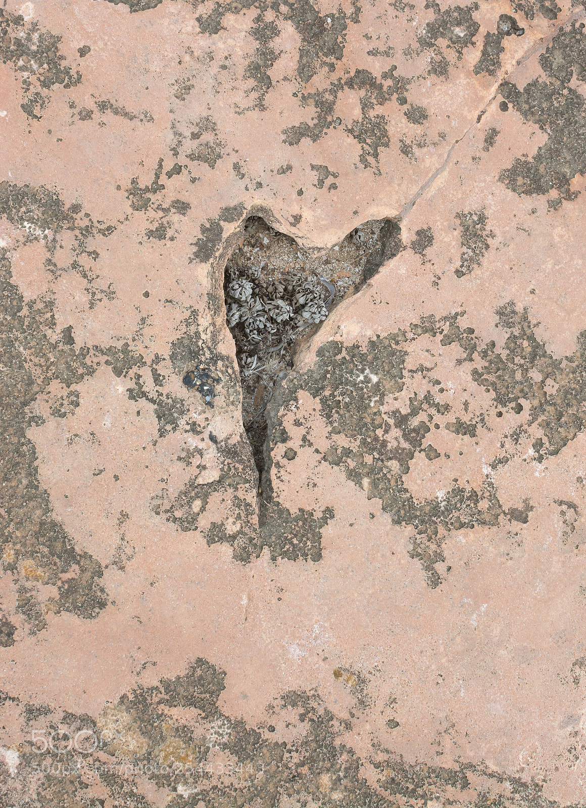Nikon D7100 sample photo. Heart in stone photography