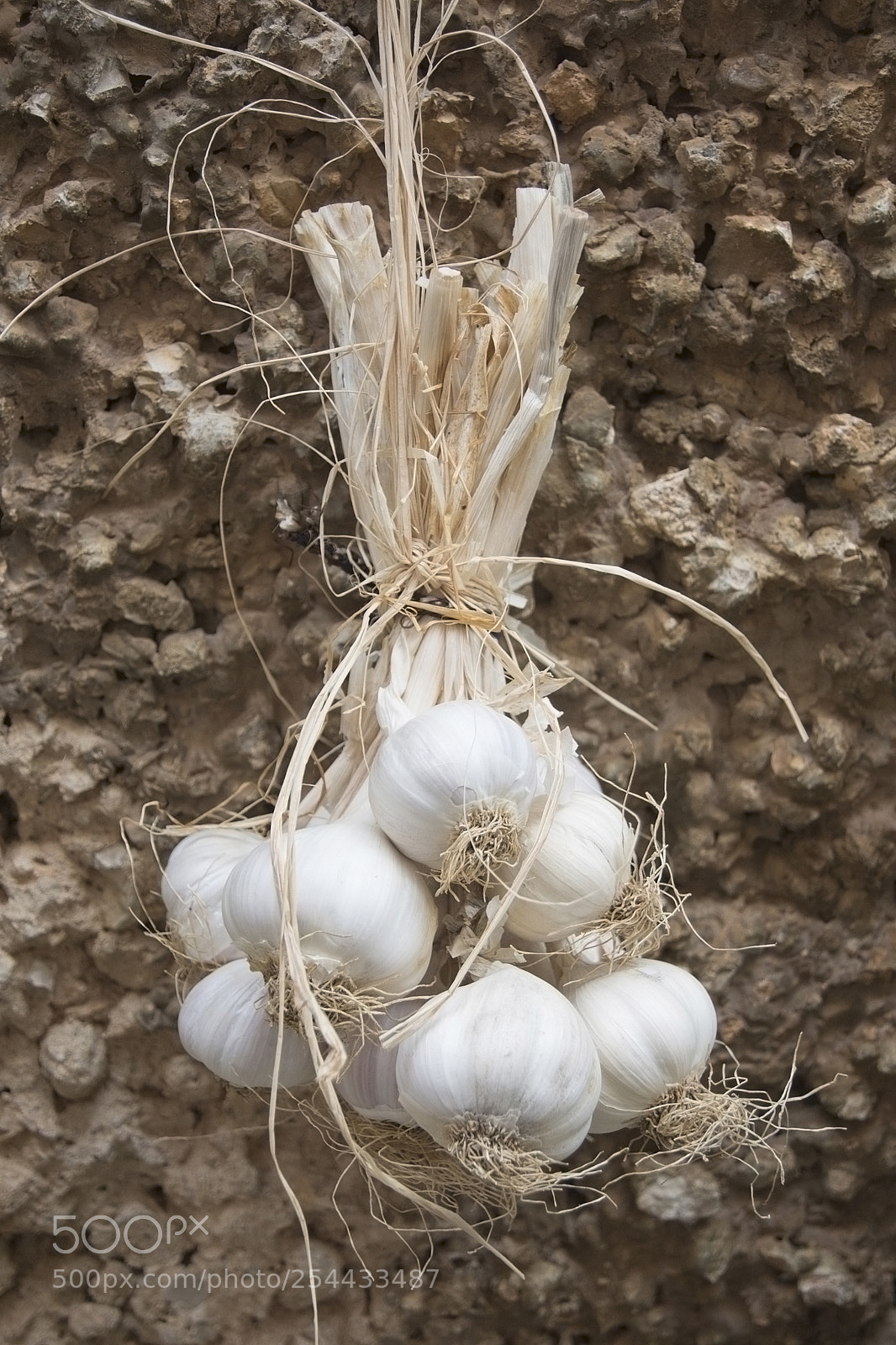 Nikon D7100 sample photo. Garlic bouquet and stucco photography