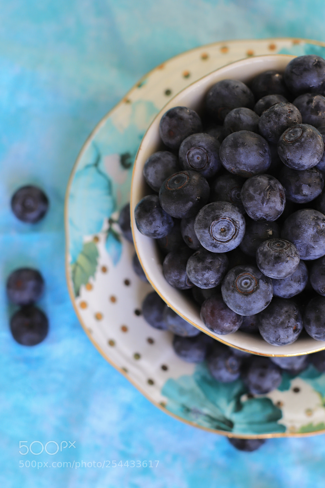 Canon EOS 800D (EOS Rebel T7i / EOS Kiss X9i) sample photo. Blueberry photography