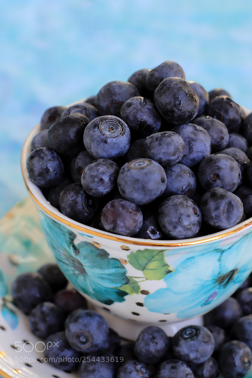 Canon EOS 800D (EOS Rebel T7i / EOS Kiss X9i) sample photo. Blueberry photography