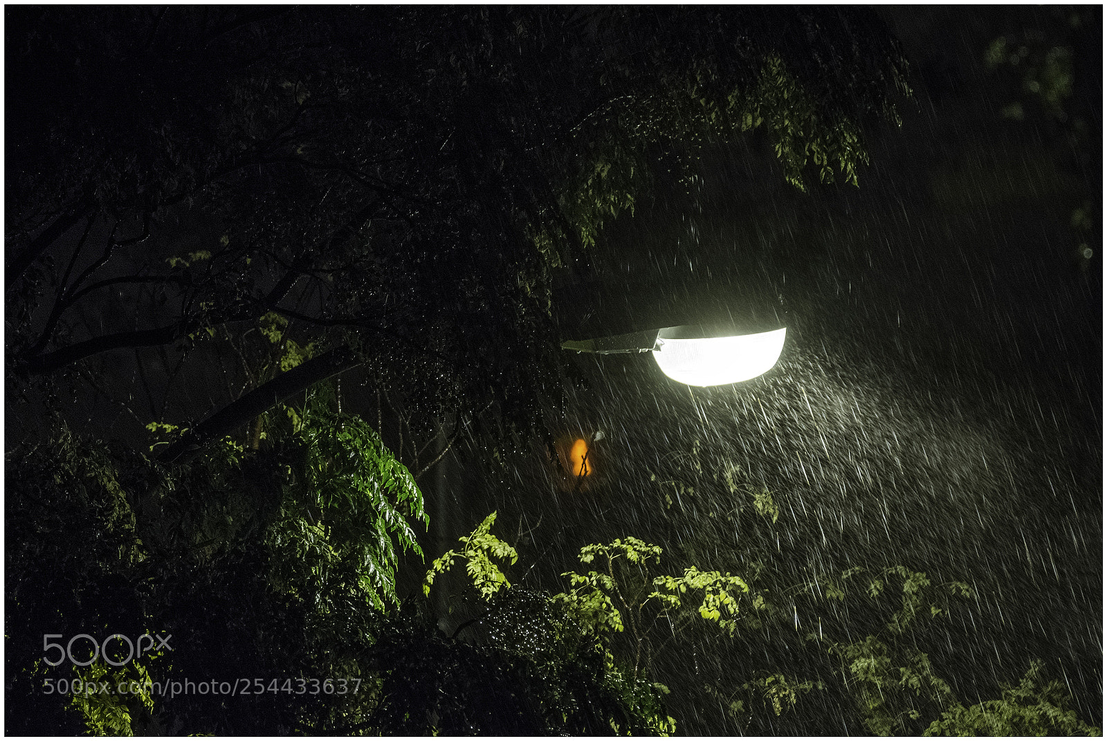 Nikon D7200 sample photo. Anoche vi llover photography
