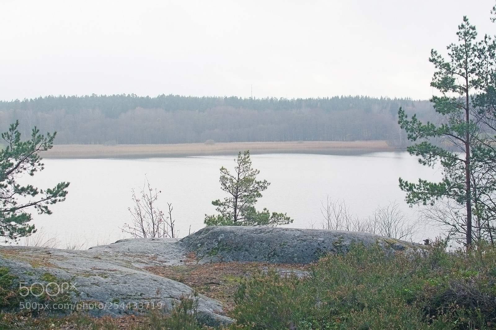 Nikon D7100 sample photo. Lake view photography